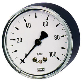 RIEGLER® - Kapselfedermanometer, G 1/2" hinten exzentrisch, 0-60 mbar, Ø 100