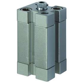 RIEGLER® - Kompaktzylinder, doppeltwirkend, IG, Kolben-Ø 20, Hub 10, M5, ISO 21287