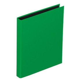 PAGNA® - Ringbuch Basic Colours 20406-05 DIN A5 2 Ringe PP grün