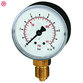 RIEGLER® - Standardmanometer, Kunststoffgehäuse, G 1/4" unten, 0-6,0 bar/87 psi, Ø 63