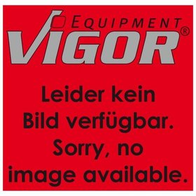 VIGOR® - Lenkrolle (Paar) ∙ V6031-2