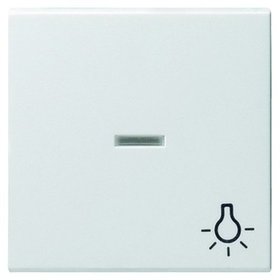 GIRA - Kontrollwippe Schalter System 55 rws glz Symbol Licht