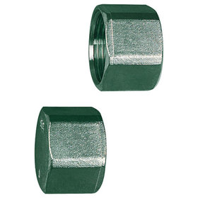 RIEGLER® - Verschlusskappe, Sechskant, G 1/4", SW 16, Edelstahl 1.4408