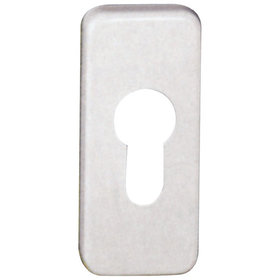 Schlüssel-Rosette F1 PZ Nr.5804110