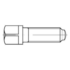 Vierkantschraube Bund und Ansatzkuppe DIN 480 Stahl 10.9 M16 x 60mm SW17