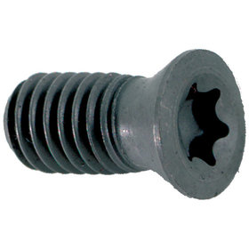 Schraube mit TORX®-Profil US 2506-TP07, 10 Stück