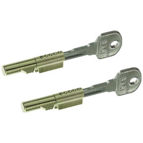 BASI - Schlüssellochsperrer - SS 12, Einfaches Sichern von Zimmertüren mit Buntbartschloss, 2 Stück, Verschiedenschließend