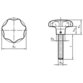 HALDER - Sterngriffschrauben, ähnlich DIN 6336, rostfreier Stahl | d1=40 mm / d2=M8 / l=~ 20 mm | 24741.0005