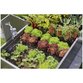 GARDENA - Micro-Drip-System Tropfbewässerung Set Hochbeet/Beet (35 Pflanzen)