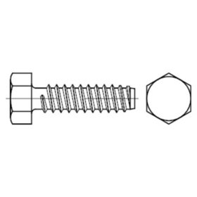 Sechskant-Blechschraube DIN 7976-F Stahl galvanisch verzinkt ø4,8 x 19mm