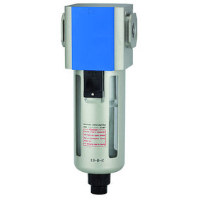 RIEGLER® - Filter »G«, PC-Behälter, Schutzkorb, 5 µm, BG 300, G 1/4", Ablass: VA