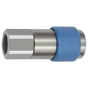 RIEGLER® - Unverwechselbare Dreh-Sicherheitskupplung NW 6, ISO 6150 C, G 3/8" I, blau