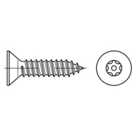 Sicherheitsschraube, Linsenkopf DIN 7982 ART 88115, 2,9 x 19 mit Pin-TORX T10