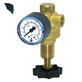 RIEGLER® - Druckregler für Wasser, inkl. Manometer, G 1/4", 0,5 - 6 bar