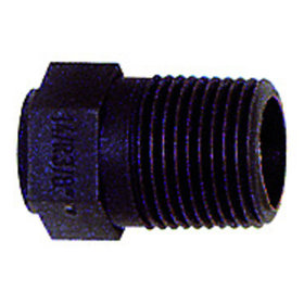 RIEGLER® - Blindstopfen, R 1/8" A, SW 10, PA 6