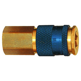 RIEGLER® - Unverwechselbare Schnellverschlusskupplung NW 7,8, G 3/8" I, blau