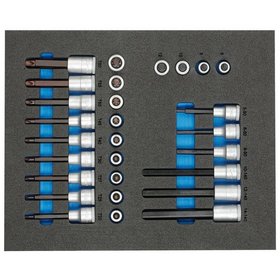 GEDORE - TS CT2-ITX19 Satz Schraubendrehereinsätze 1/2" in 2/4 Check-Tool-Modul