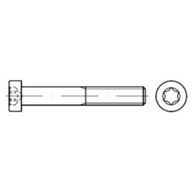 Zylinderschraube mit niedrigem Kopf DIN 7984 Stahl 8.8 ISR verzinkt M8 x 20mm