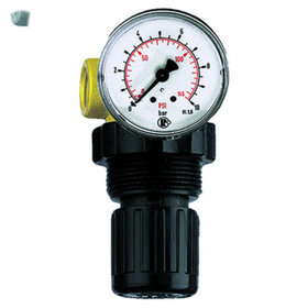 RIEGLER® - Druckbegrenzungsventil, inkl. Manometer, G 1/4", 0,5 - 10,0 bar