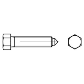 Sechskantschraube mit Zapfen DIN 564 Form B Stahl 22H/8.8 M20 x 100mm