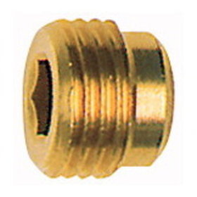 RIEGLER® - Verschlussschraube Innen-6-kant ohne Bund Messing G1/4" Länge 10mm SW6