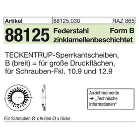 TECKENTRUP-Sperrkantscheiben ART 88125 C 60 flZnnc SKB 6 flZnnc K