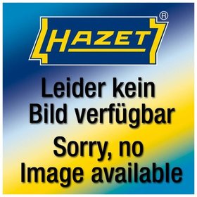 HAZET - 2-Komponenten Weichschaum-Einlage 163-595L