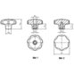 HALDER - Sterngriffe, ähnlich DIN 6336, rostfreier Stahl A4/mit Gewindesackloch | d1=63 mm / d2=20 mm | 24691.1463