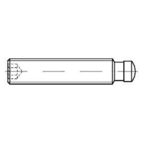 Gewindestift mit ISK und Druckzapfen DIN 6332 Stahl 5.8 brüniert M6 x 30mm