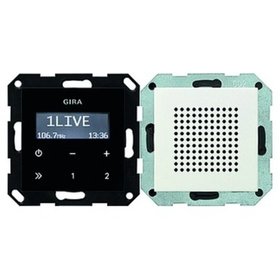 GIRA - Einsatz-Radio rws System 55 mt UP Basis+Geh-OT