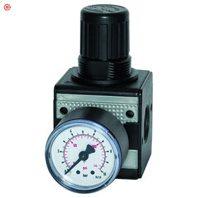 RIEGLER® - Präzisionsdruckregler »multifix«, BG 1, G 1/4", 0,1 - 3 bar