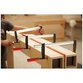 BESSEY® - Schraubzwinge TPN 100x 50mm