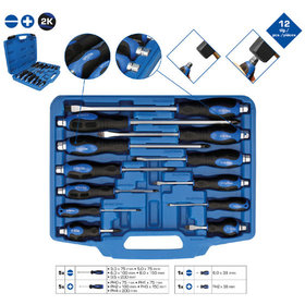 Brilliant Tools - Schraubendreher-Satz mit Schlagkappe, 12-teilig