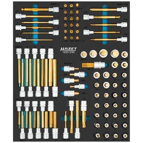 HAZET - Schraubendreher-Steckschlüsseleinsatz Satz 163D-3/94, 3 – 10, 0,6 x 3,5 – 1,2 x 8, M5 – M18, PH1 – PH2, PZ1 – PZ2, T15 – T60, 94-teilig