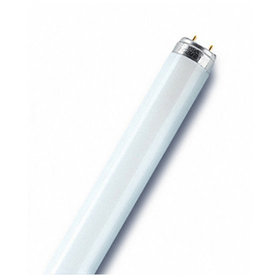 OSRAM - Leuchtstofflampe LUMILUX T8, G13, 18 W / 865, Cool Daylight, 59cm