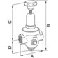 RIEGLER® - Druckregler DRV 250, Niederdruckausführung, G 1/2", 0,2 - 2 bar