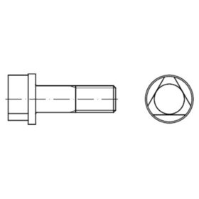 Dreikantschraube DIN 22424 Stahl 8.8 A M8 x 25mm