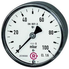 RIEGLER® - Kapselfedermanometer, G 1/4" hinten zentrisch, 0-60 mbar, Ø 63