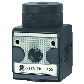 RIEGLER® - Druckregler pneumatisch ferngesteuert »multifix«, BG 1, G 1/4"