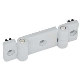 Ganter Norm® - 159.1-89-35-LG Doppel-Scharniere für Profilsysteme, Kunststoff