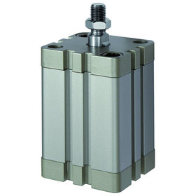 RIEGLER® - Kompaktzylinder, einfachwirkend, AG, eingef., Ø20, Hub25, M5, ISO 21287