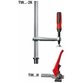 BESSEY® - Spannelement mit fixer Ausladung TW16 200/100 (2K-Kunststoffgriff)