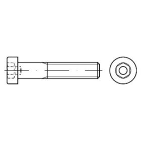 Zylinderschraube mit Innensechskant DIN 6912 Stahl 10.9 M8 x 16mm