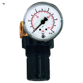 RIEGLER® - Druckregler für Wasser, inkl. Manometer, G 1/4", 0,5-10 bar, PE max.25
