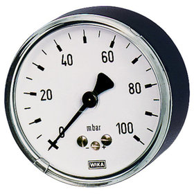 RIEGLER® - Kapselfedermanometer, G 1/2" hinten exzentrisch, 0-250 mbar, Ø 100