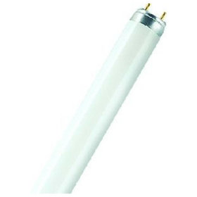 OSRAM - Leuchtstofflampe-XXT 36W/865, G13,
