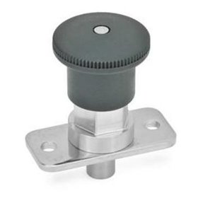 Ganter Norm® - 822.9-4-5-C Edelstahl-Miniraster, mit und ohne Rastsperre