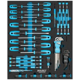 HAZET - Schraubendreher Satz 163D-6/53, 0,3 x 1,5 – 1,2 x 8, 1,5 – 10, PH 00 – PH2, PZ1 – PZ2, T5 – T40, 53-teilig