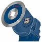 Bosch - EXPERT Diamond Pipe Cut Wheel X-LOCK (2608901391)