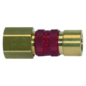 RIEGLER® - Unverwechselbare Schnellverschlusskupplung NW 5, G 1/4" I, rot